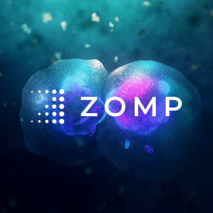 ZOMP logo design